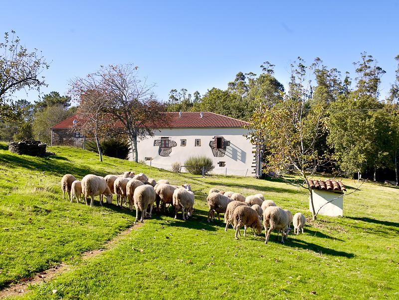 Gasthaus A Pena De Augasantas Oca de Abaixo Exterior foto