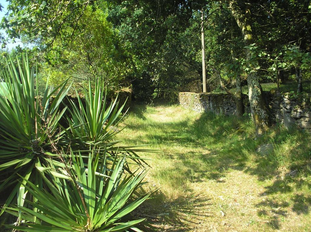 Gasthaus A Pena De Augasantas Oca de Abaixo Exterior foto