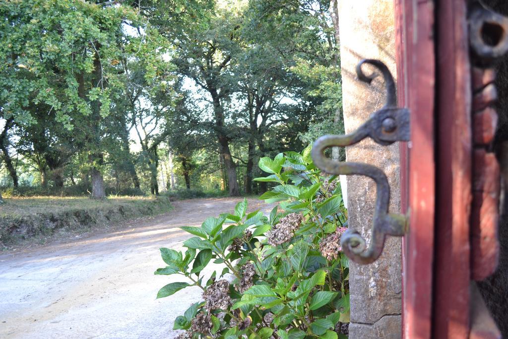 Gasthaus A Pena De Augasantas Oca de Abaixo Exterior foto