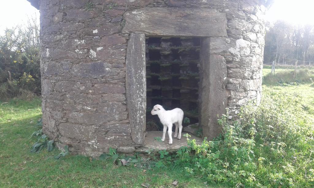 Gasthaus A Pena De Augasantas Oca de Abaixo Exterior foto